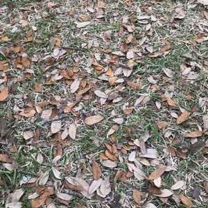 Meet your Posher, Hervey